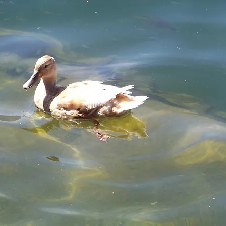 فندق مبيت وإفطار 21